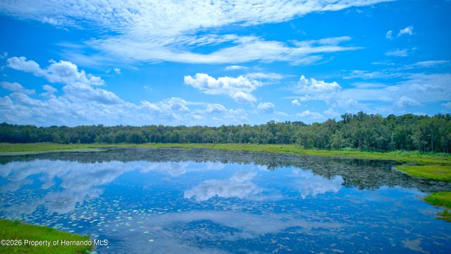 0 Ponce De Leon Blvd, Brooksville, FL 34601