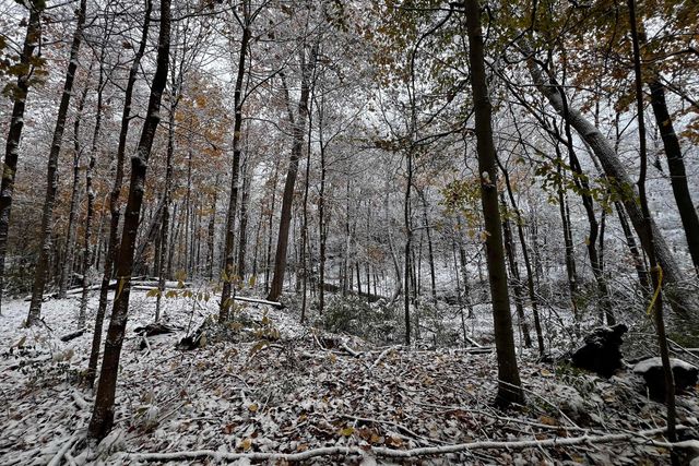 128 Green Springs Drive, Columbus, OH 43235