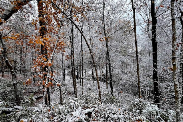 128 Green Springs Drive, Columbus, OH 43235