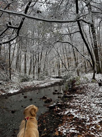 128 Green Springs Drive, Columbus, OH 43235