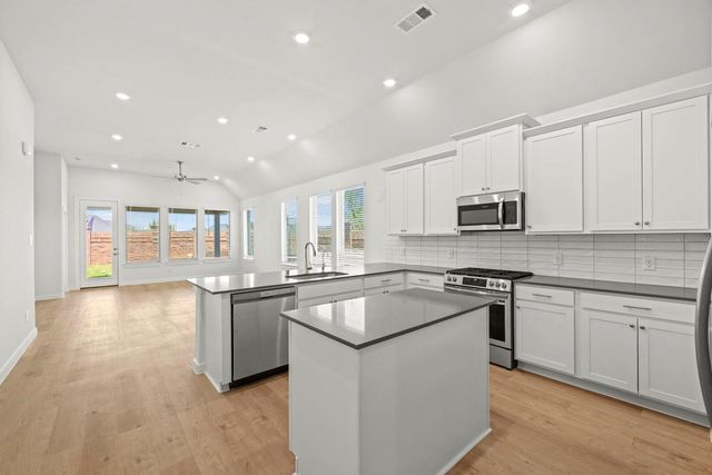 216 Rock Daisy TRL, Hutto, TX 78634