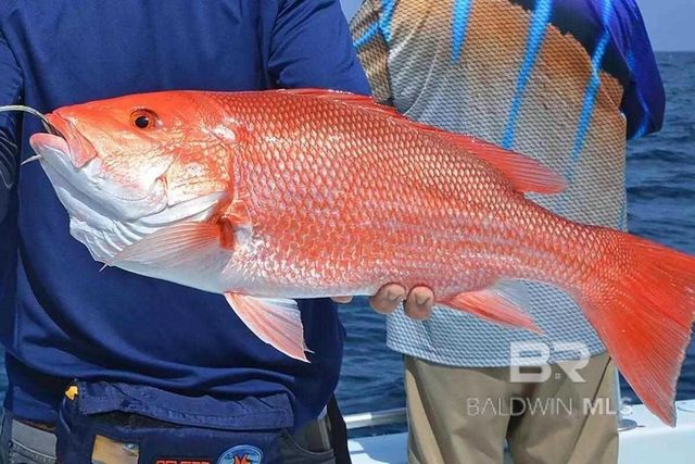 35878 Boykin Boulevard, Lillian, AL 36549