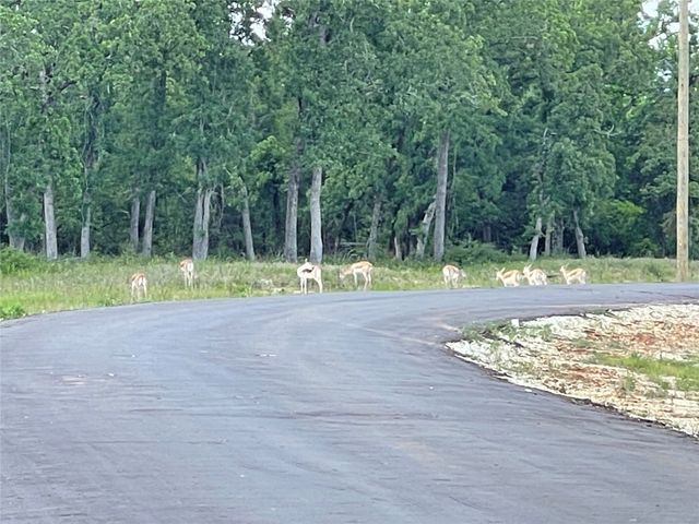 Lot 23 PR 4172, Marquez, TX 77865