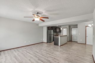 1239 NE 7th Lane, Ankeny, IA 50021