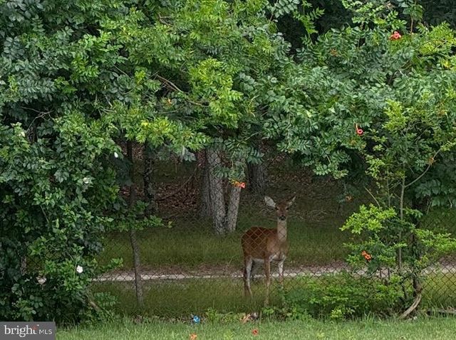 146 COUNTRY CLUB RD, Pine Hill, NJ 08021