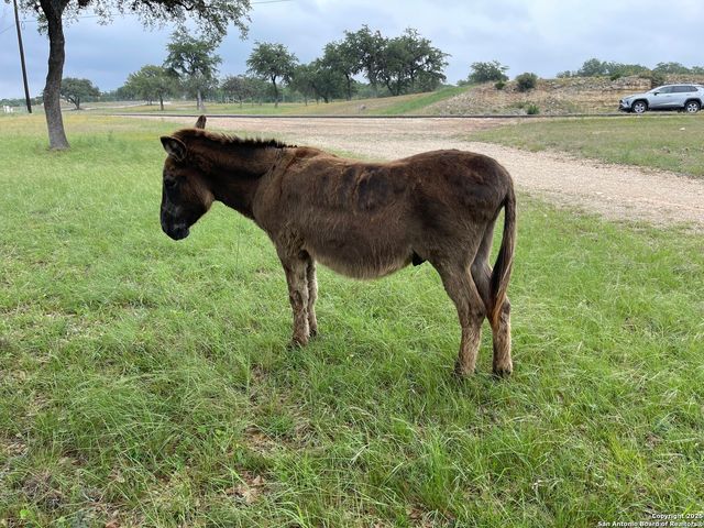 LOT 79 Red Stag Ln, Pipe Creek, TX 78063