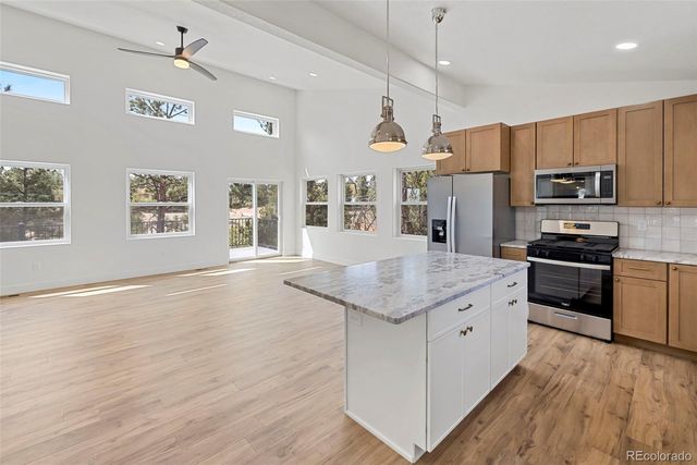 1328 N Mountain Estates Road, Florissant, CO 80816