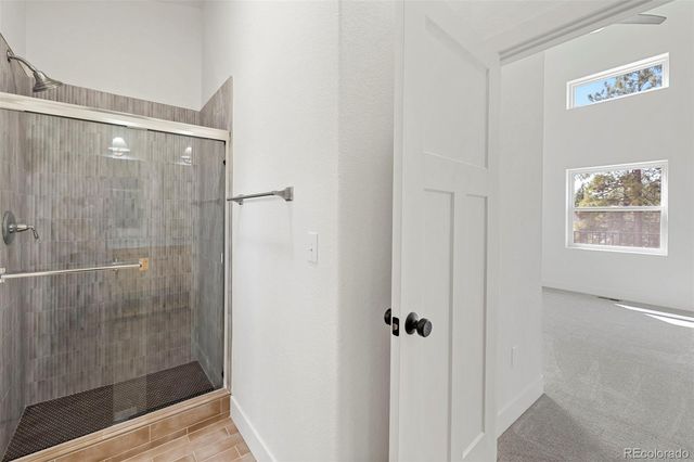 1328 N Mountain Estates Road, Florissant, CO 80816