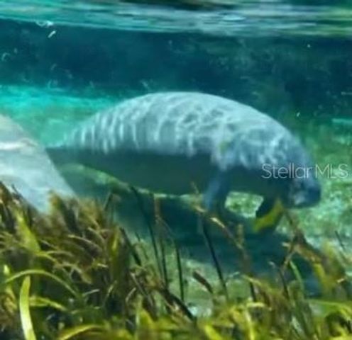 3175 NE 102ND AVENUE ROAD, Silver Springs, FL 34488