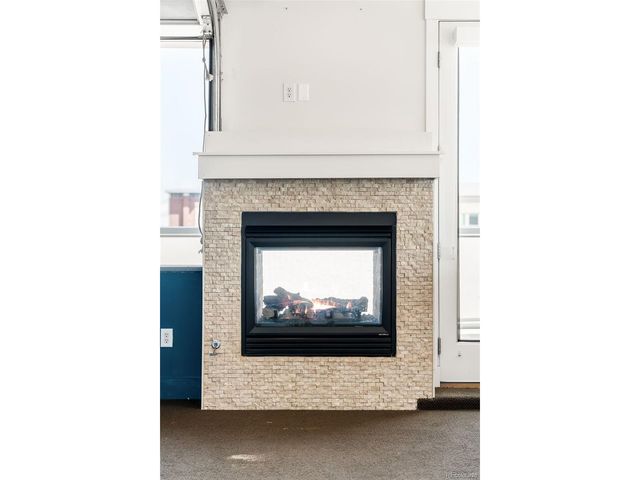 1738 N Franklin St 4D, Denver, CO 80218