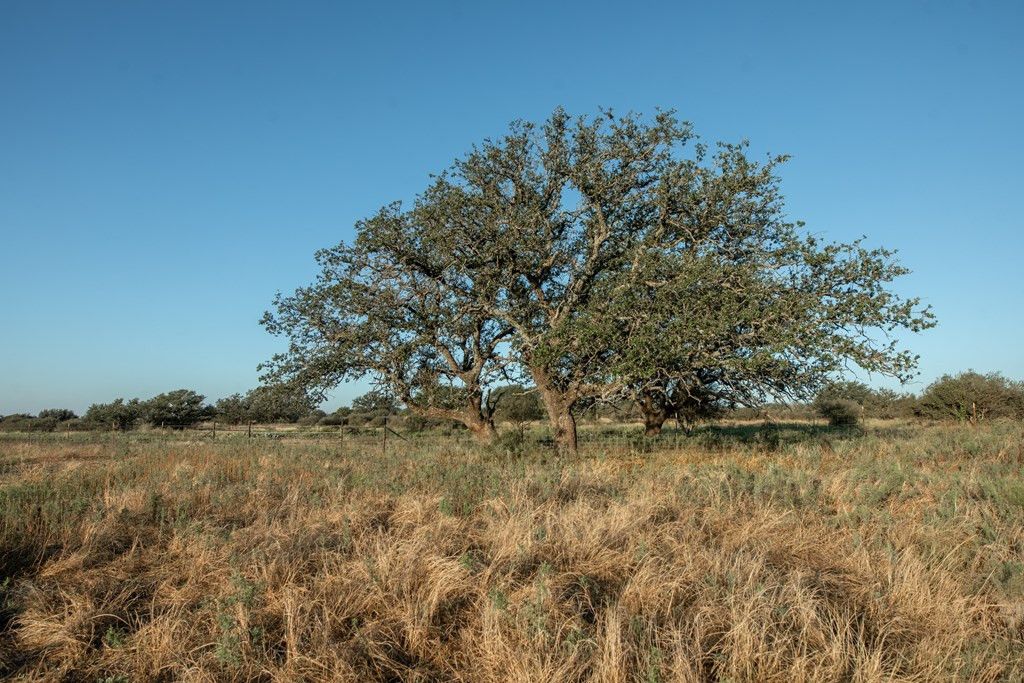 Image 5 of property listing at 2 County Rd 208, Voca, TX 76887