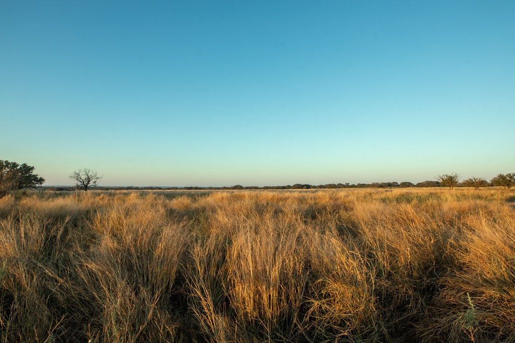 Image 7 of property listing at 2 County Rd 208, Voca, TX 76887