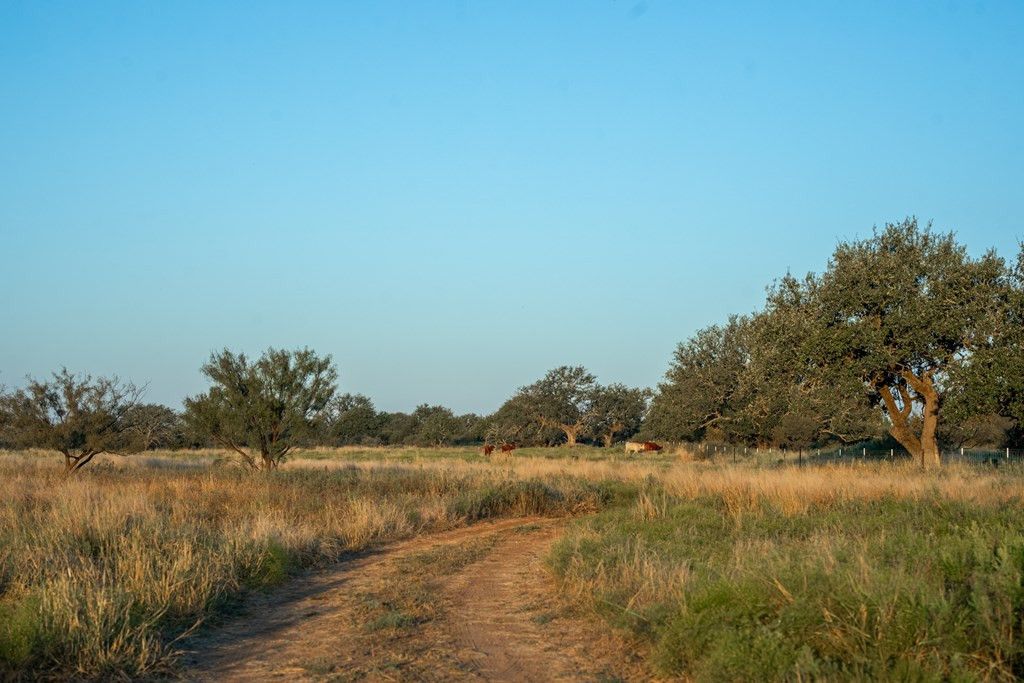 Image 8 of property listing at 2 County Rd 208, Voca, TX 76887