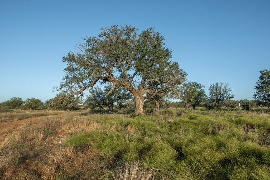 Image 9 of property listing at 2 County Rd 208, Voca, TX 76887