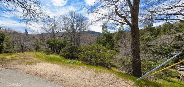 0 Hemlock, Cedar Glen, CA 92321