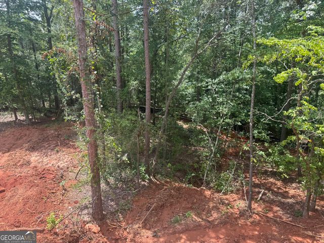 158 Blackberry Court, Pendergrass, GA 30567