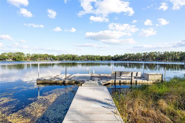 16025 CHASTAIN ROAD, Odessa, FL 33556