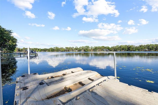 16025 CHASTAIN ROAD, Odessa, FL 33556