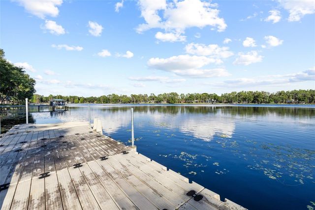 16025 CHASTAIN ROAD, Odessa, FL 33556