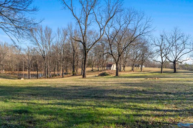 970 County Road 567, Rogersville, AL 35652