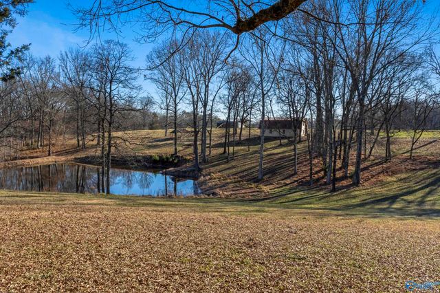 970 County Road 567, Rogersville, AL 35652