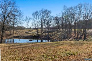 970 County Road 567, Rogersville, AL 35652