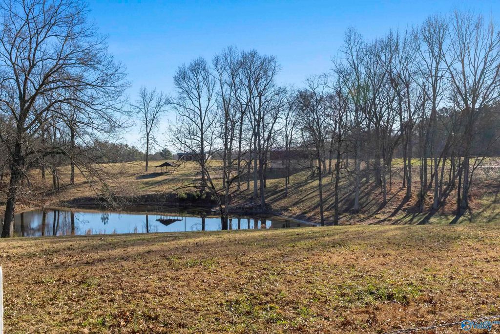 970 County Road 567, Rogersville, AL 35652