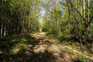 0 Beaver Dam Rd, Beaverdam, VA 23015