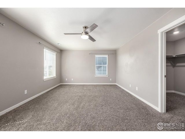 1718 Avery Plaza St, Severance, CO 80550