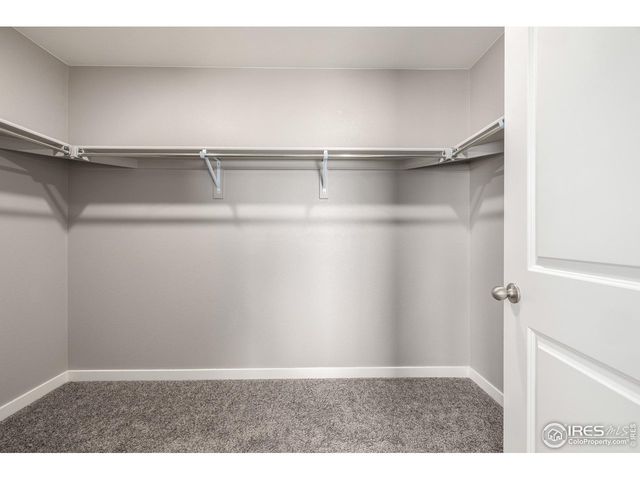 1718 Avery Plaza St, Severance, CO 80550