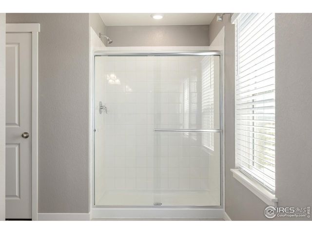 1718 Avery Plaza St, Severance, CO 80550