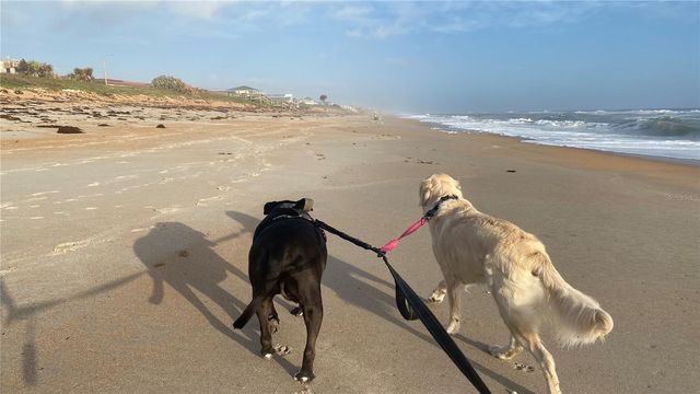 1436 S FLAGLER AVENUE, Flagler Beach, FL 32136