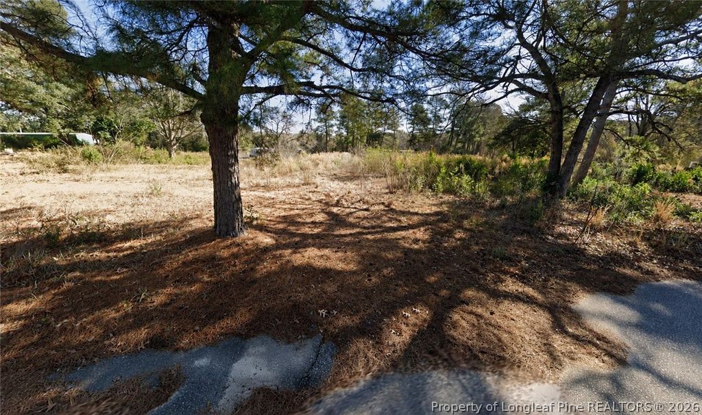 2621 Crystal Springs Drive, Fayetteville, NC 28306 — photo 5