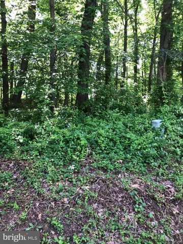 1539 WOODCREST DR, Reston, VA 20194