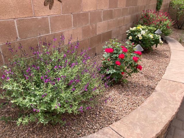 9820 Benton Street NW, Albuquerque, NM 87114