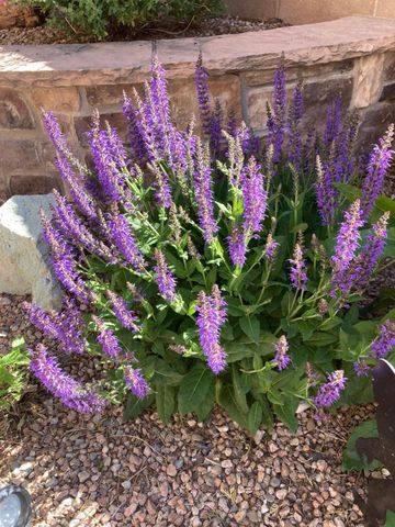 9820 Benton Street NW, Albuquerque, NM 87114