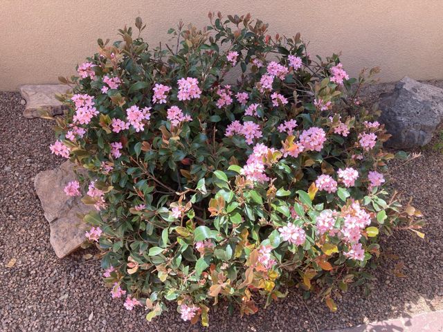 9820 Benton Street NW, Albuquerque, NM 87114