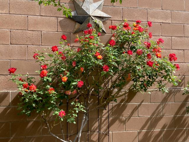 9820 Benton Street NW, Albuquerque, NM 87114