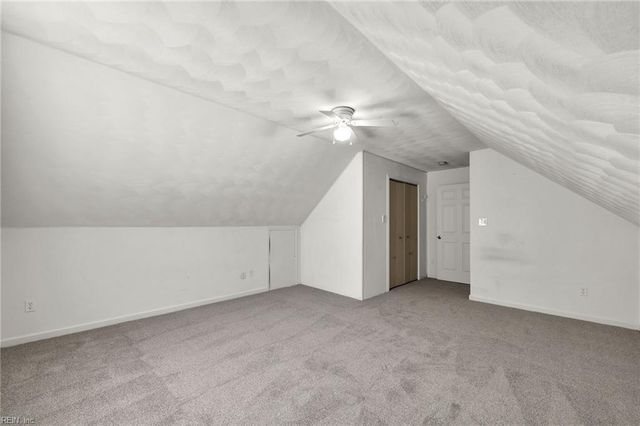 27085 Flaggy Run RD, Courtland, VA 23837