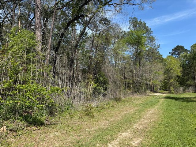 TBD White Oak Drive, Conroe, TX 77306