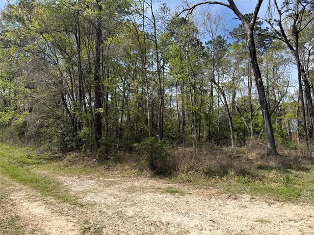 TBD White Oak Drive, Conroe, TX 77306
