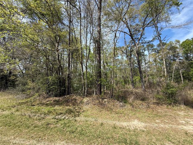 TBD White Oak Drive, Conroe, TX 77306