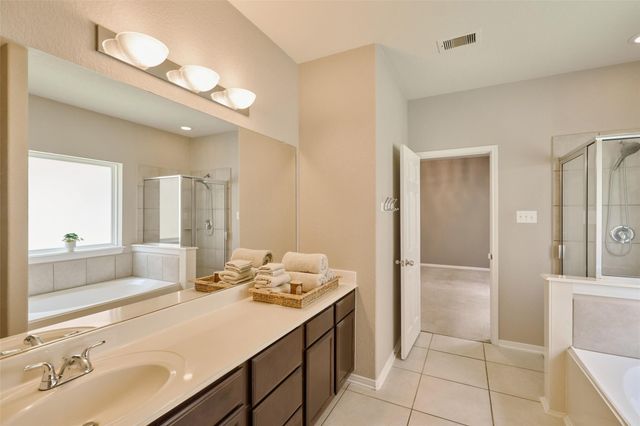 28915 Birch Green Way, Spring, TX 77386