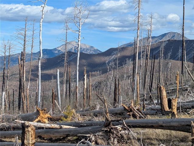 2553 Fine Place, Fort Garland, CO 81133