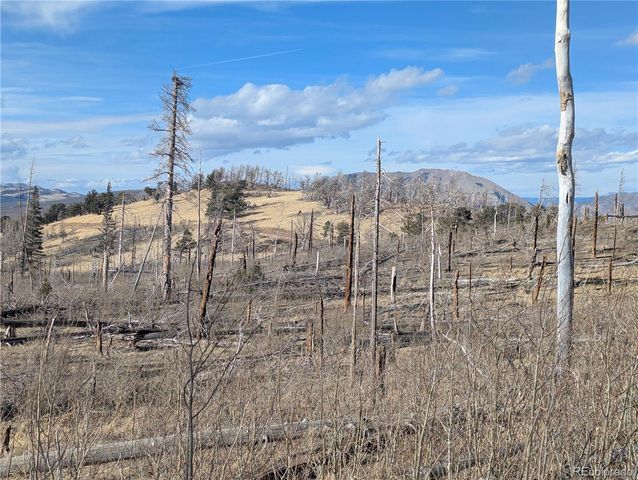 2553 Fine Place, Fort Garland, CO 81133