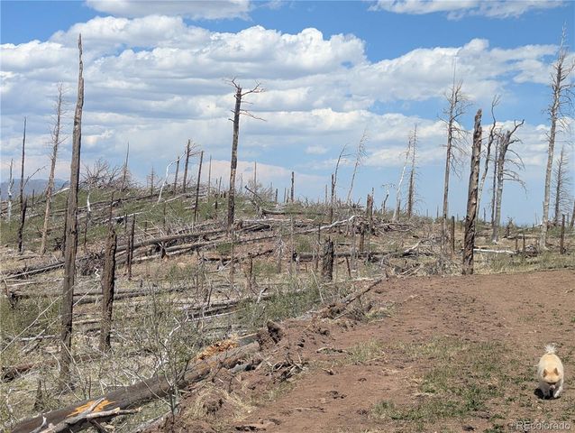 2553 Fine Place, Fort Garland, CO 81133
