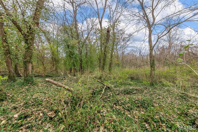 1144 Hudson Road, St Louis, MO 63135