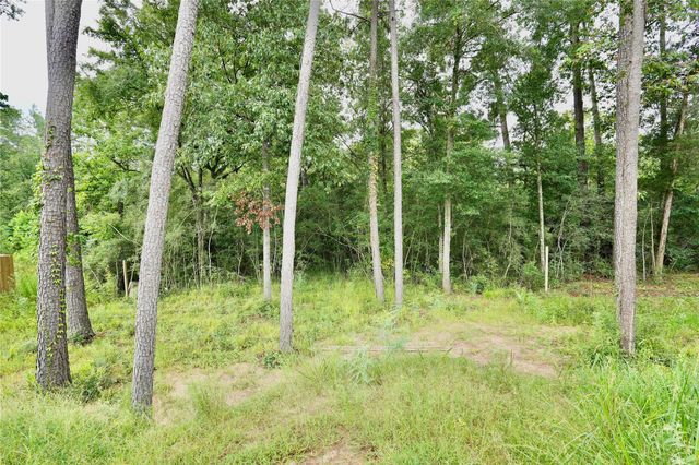 12161 La Salle River Rd, Conroe, TX 77304