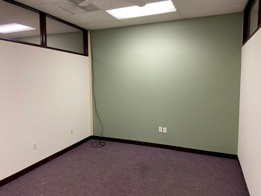 104 W Main Street B, Peotone, IL 60468 — photo 5