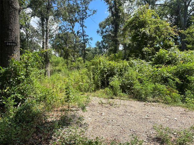 26059 E Christine Drive, Splendora, TX 77372